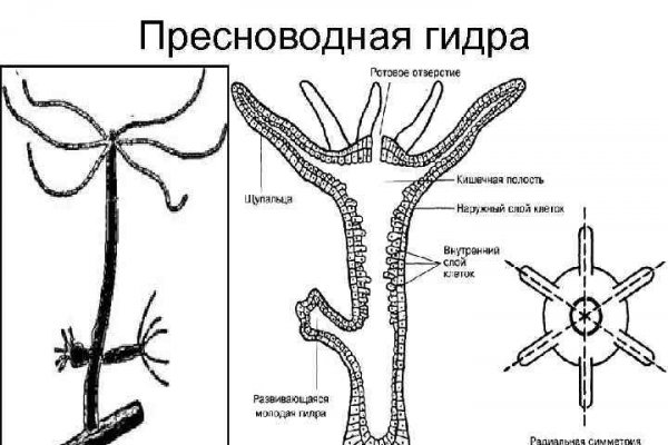 Регистрация на kraken com